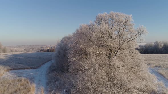 Winter Landscape in Countryside