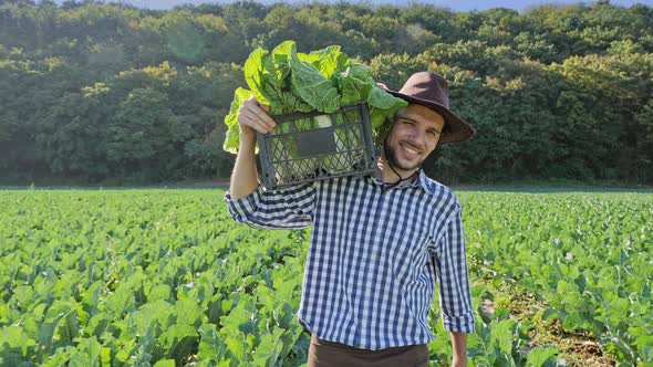 A Farmer Carrying a Crate of Cabbages on His Shoulder at Plantation