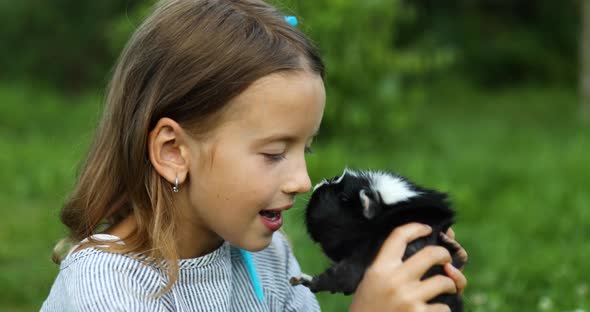 A Little Girl Play with Black Guinea Pig Outdoors in Summer
