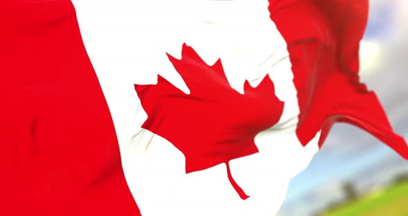 Realistic Canada Flag Close Up 4K Loop