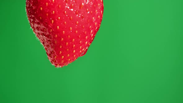 Red Strawberry Isolated on Green Background Chroma Key Juicy Ripe Berry Closeup Sweet Fresh Fruits