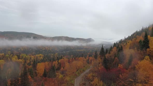 Drone shots along a path in a bright autumn forest on a mountainside covered in fog (Quebec, Canada)