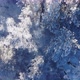 Aerial Shot of Winter Forest - VideoHive Item for Sale