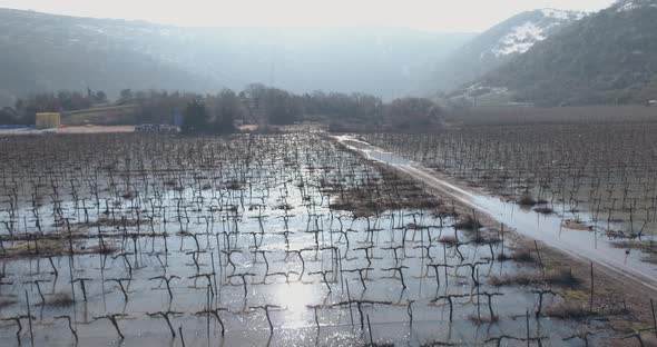 Aerial view of a vineyard flooded with water, Golan Heights, Israel.