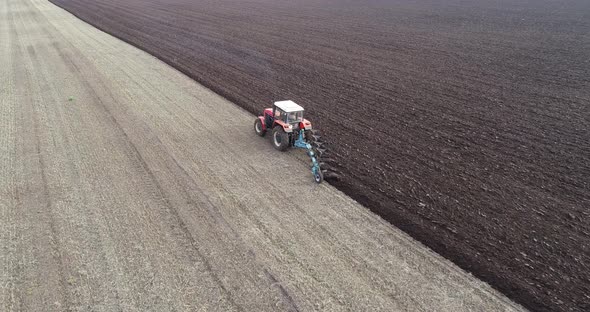 Agricultural Red Small Tractor in the Field Plowing