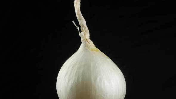 white onion on black background