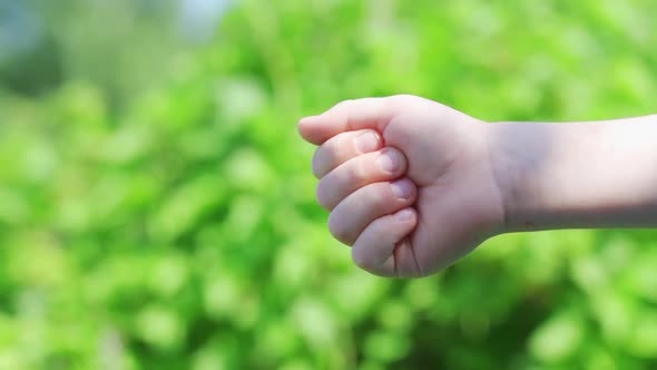 A Child's Clenched Fist Against a Background of Green Leaves in the Park