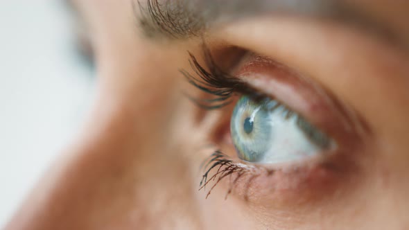 Closeup Shooting of Blinking Eye Young Woman with Painted Eyelashes Black Mascara