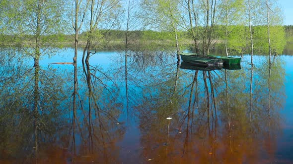 Trees That Standing In Water During Spring Flood Floodwaters