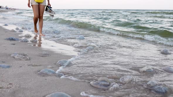 A Girl with Tanned Legs Walks Along the Beach That Was Strewn with Dead Dangerous Jellyfish