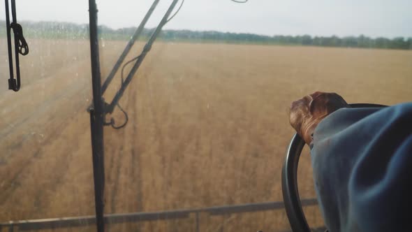 Man Driving a Combine and Harvesting the Wheat.