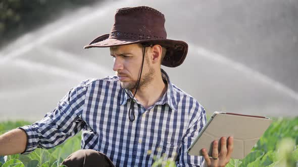 Close-up of Farmer Using Digital Tablet During Monitoring His Plantation