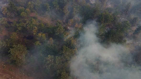 Fire in the forest aerial view. Cinematic aerial shot fire in the forest.