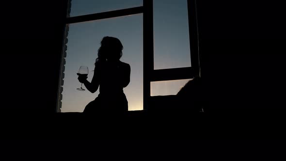 Silhouette of Lady Dancing with Wineglass at Sunset Light / Videohive