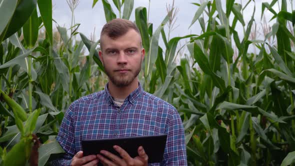 Checking the Integrity of the Corn Field of Agriculture. Young Farmer with Digital Tablet. Smart Eco