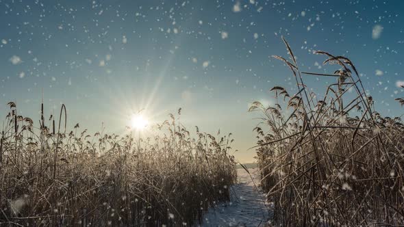 A Winters Scene Animation with Cars Driving Slowly Down a Snowcovered Road and Leaves Falling Gently