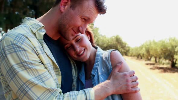 Happy couple interacting with each other in olive farm 4k