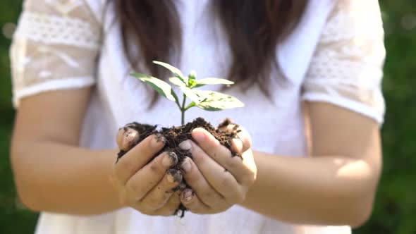 Woman holding plant sprout and move towards camera