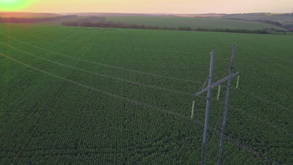 Electric power transmission tower in countryside field