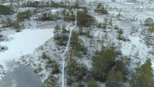 Snow Covered Hiking Trail in Winter Bog Landscape Aerial View