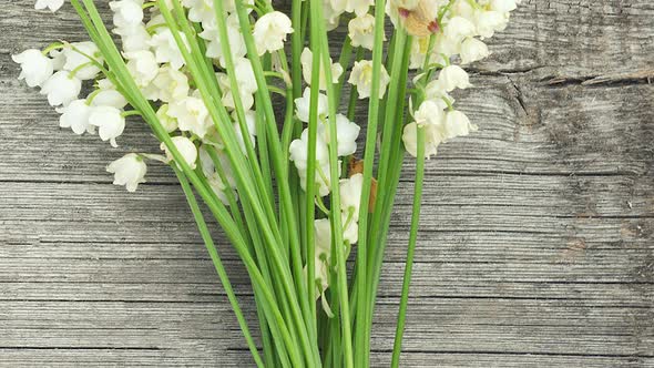 a Bouquet of Small Fresh White Lilies of the Valley Lie