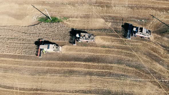 Combine Harvesters Working. Farm Harvesters Work on a Field