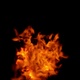 Burning flames from start to finish with ProRes Isolated by Alpha channel (transparent background) - VideoHive Item for Sale