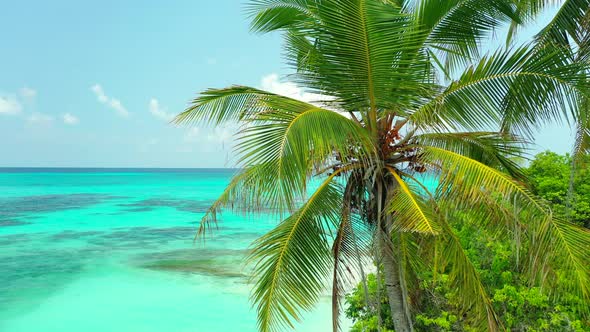 Wide above copy space shot of a paradise sunny white sand beach and blue sea background in best qual