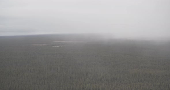 Aerial helicopter flyover of sparse forest, bridges, and rural airfield at dusk, drone footage