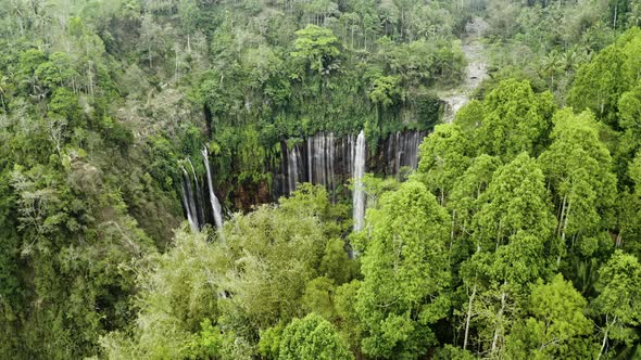 Drone Flight Over Dense Forest And Tumpak Sewu Waterfalls