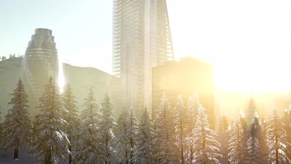 City and Forest in Snow