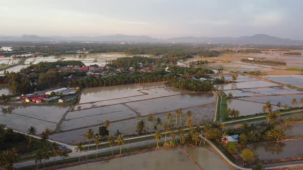 Beautiful color of evening sunshine at water season paddy field