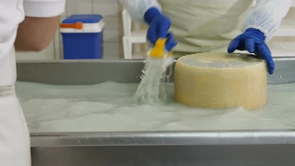 rubbing and washing cheese forms - Diary Cheese factory