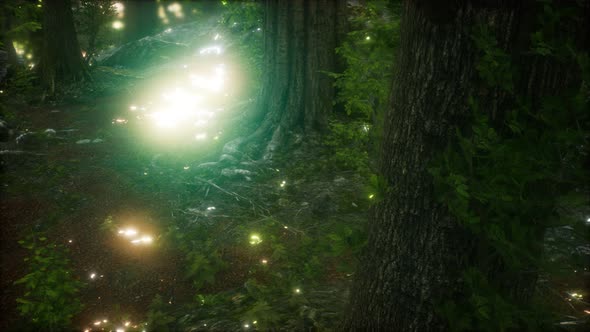 Firefly Flying in the Forest