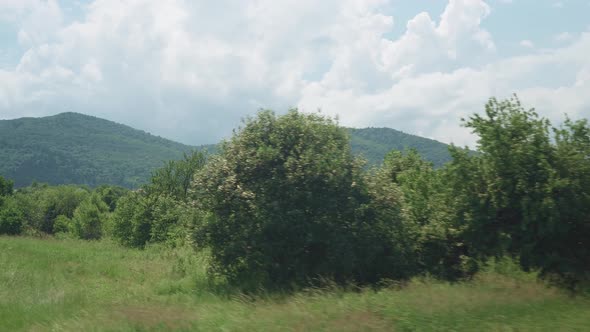 View From Window of Highspeed Train on Landscape of Beautiful Nature Wild Field and Mountains Forest