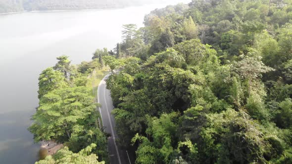 Road on the jungle - Lake