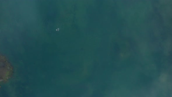 Aerial view of a lake in Cornwall, United Kingdom.