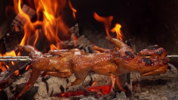 Delicious Juicy Quails on the Skewer are Roasting on the Background of the Fire