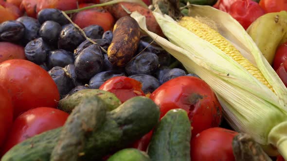 Food From Grocery Stores Gets Thrown Away