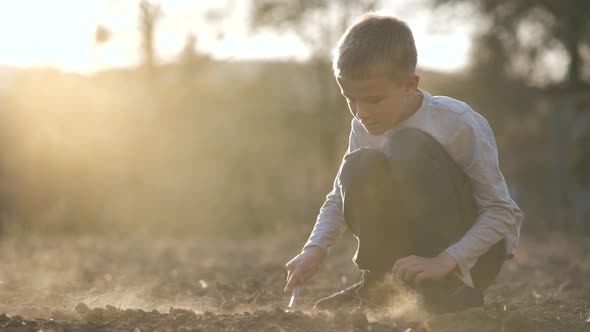 Child boy digging with a stick in the ground of black soil farm field at sunset.