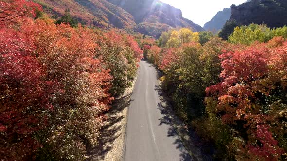 Flying over road through colorful forest during Fall