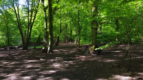 Low Drone Shot Past Bikes and Trees in a Wooded Area with Dappled Sunlight