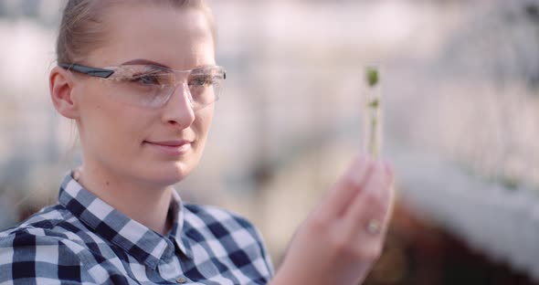 Botanist Examining Plants at Greenhouse