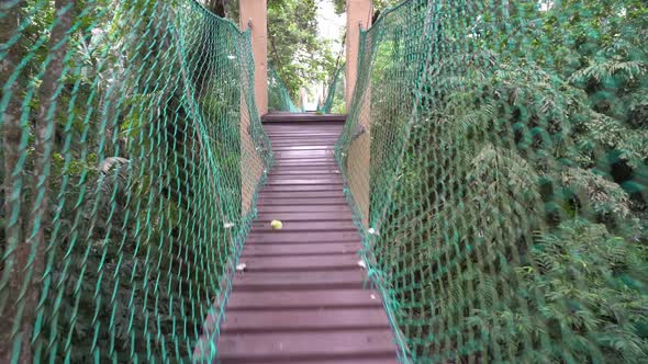 POV walk at canopy walk in tropical jungle