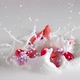 Several Pieces of Strawberries Falls With Splashes Into the Milk - VideoHive Item for Sale