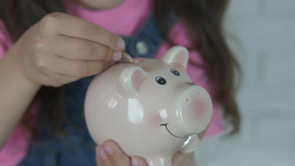 Insert coin in piggy bank. alt