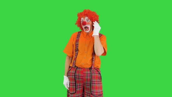 Clown with Smartphone Making a Call on a Green Screen Chroma Key