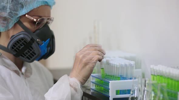 A Female Researcher in a Laboratory Puts Test Tubes in a Holder. alt