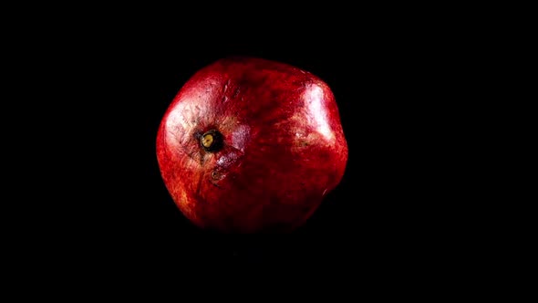 Pomegranate on a Black Background