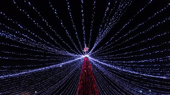 Christmas Tree in the Park at Night